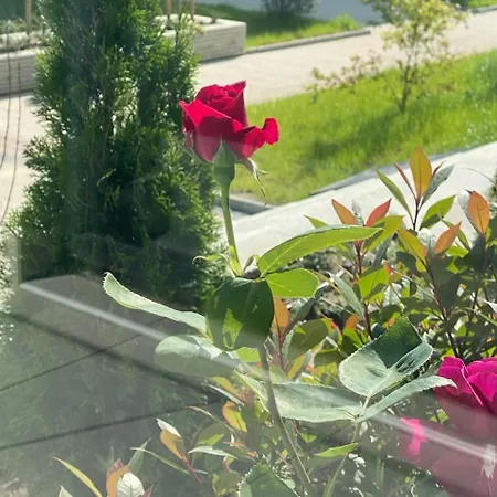 Gran Capital - Vodoley Rose Garden !free Parking! * Sofia