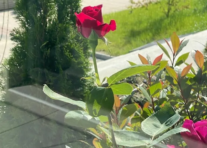 Gran Capital - Vodoley Rose Garden !free Parking! * ソフィア